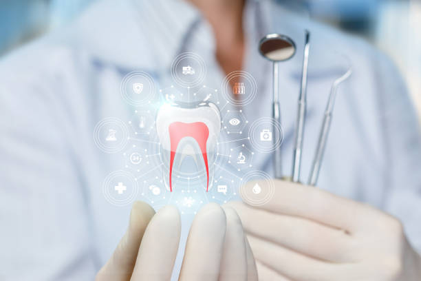 Best Traditional Braces  in New Hope, MS